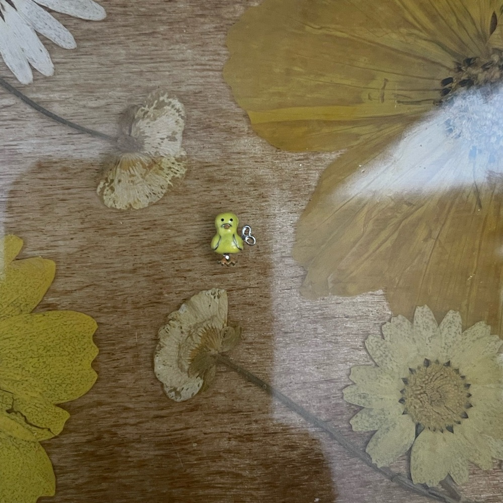 Origami Owl wind up chic